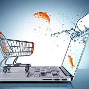 Web Kayseri'nin önde gelen e-ticaret web sitesiyle işinizi büyütün, profesyonel tasarım ve arayüzle müşterilerinizi çekin, satışlarınızı artırın
