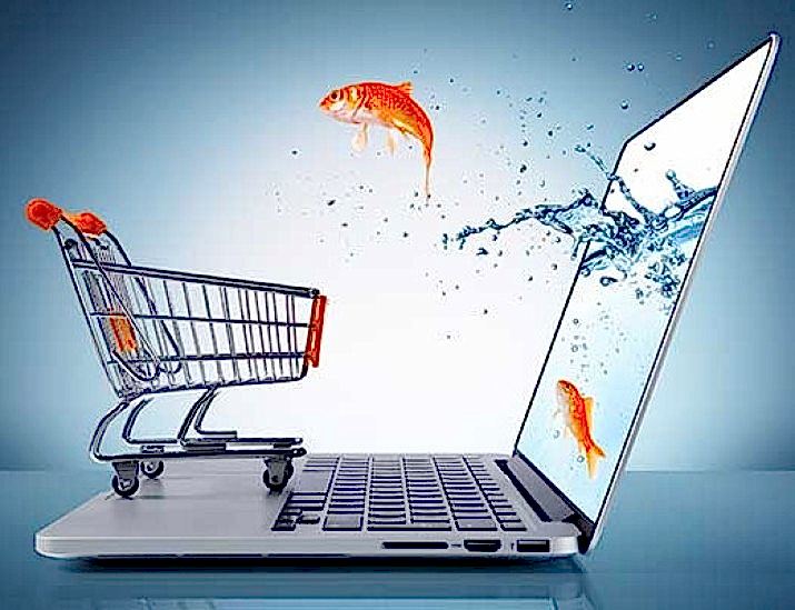Kayseri E-Ticaret Web | Kayseri Web Tasarım Ajansı Web Kayseri'nin önde gelen e-ticaret web sitesiyle işinizi büyütün, profesyonel tasarım ve arayüzle müşterilerinizi çekin, satışlarınızı artırın