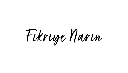 Kayseri Web Tasarım Ajansı