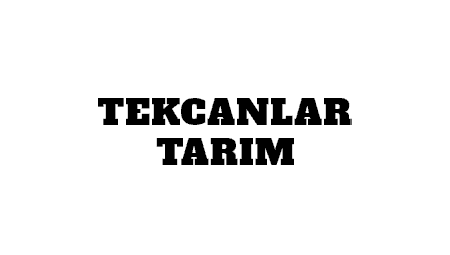 Kayseri Web Tasarım Ajansı